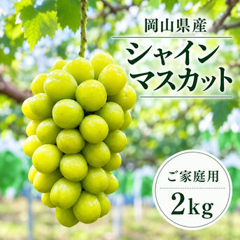 G)岡山県産シャインマスカット8月21日収穫2kg(家庭用) 食品 H)岡山県産シャインマスカット8月21日収穫2kg(家庭用)