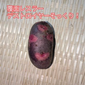 デストロイヤー約1.8kg ｜ 野菜/じゃがいも 産直アウル 農家・漁師など