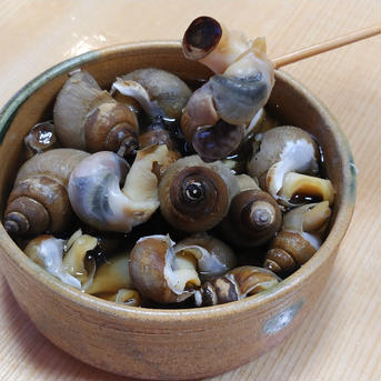 どろツブ(クシロエゾバイ) どろツブ1.2Kg(300g×4) 魚介類/その他魚介通販