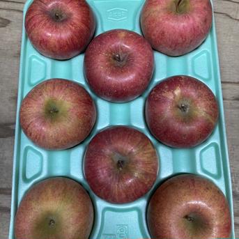 4箱分！3キロ6-9玉×4箱 蜜入チェック済み 大玉葉取らず減農薬栽培サン