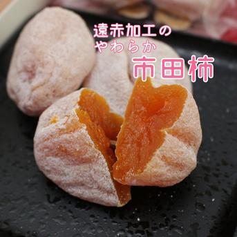 南信州特産 市田柿 たっぷり3kg（500g×6袋） 遠赤加工でふっくら