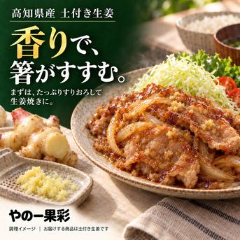 先行予約・11月5日発送開始】高知県産 土付き新生姜 4kg｜やの一果彩