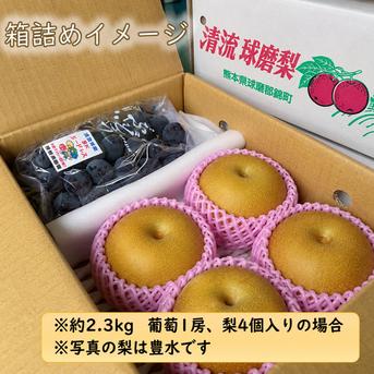 梨と葡萄の詰め合わせ！約2.3kg(梨3～4個、葡萄1房入り) ｜ 果物/果物