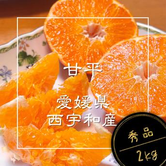 市場にほぼ出回らない】甘平《秀品 2kg》柑橘史上トップクラスの甘さ