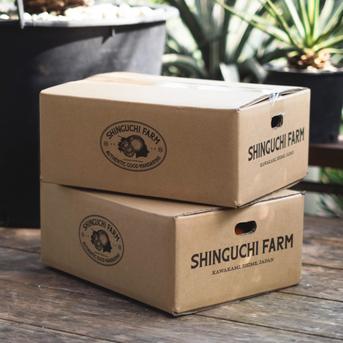 訳ありだけど美味しさそのまま】甘平 2kg 愛媛県産 | 果物/オレンジ