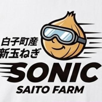 千葉県白子町産 新玉ねぎ ソニック 10kg ｜ 野菜/玉ねぎ 産直アウル