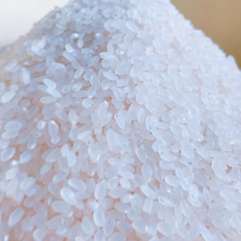 新米 玄米 つや姫25kg 令和8年産 ｜ 米・穀物/玄米 産直アウル 農家