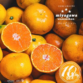 傷あり不揃いの旨さ主義】絶品早生みかん！Bセレクション9.5kg | 果物