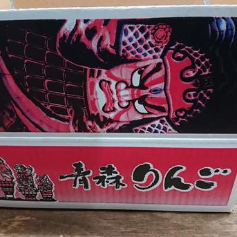 【先行予約】サンふじギフト！贈答用！約5㎏ 約5㎏ 果物/りんご通販