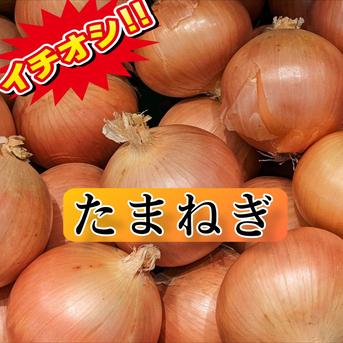 〖数量限定〗〖熊本産〗 たまねぎ!! 9.5kg超 野菜/玉ねぎ通販
