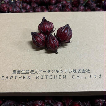 生ローゼル200g（お試しサイズの小箱入り） 200g お茶/ハーブティー通販