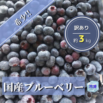 お得‼︎【3kg】冷凍ブルーベリー | 果物/ベリー類 産直アウル 農家から