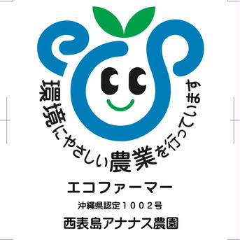 完熟マンゴー　プレミアム700g(1〜2個) 700g(1〜2個) 果物/マンゴー通販