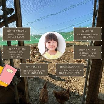 パック入り48個｜3日以内に発送可】とれたて純国産平飼い自然卵（有精