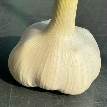 サイトウファーム🧄 1キロ 野菜/にんにく通販