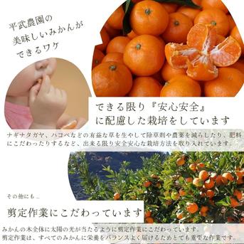 農家直送！なつみオレンジ 訳あり2kg≪サイズ混合≫ ～蛍飛ぶ町から旬