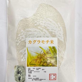 もち米　7年産【かぐらもち】5kg 令和7年産 もち米 カグラモチ 餅米 白米 500g ｜ 米・穀物/もち米 産直