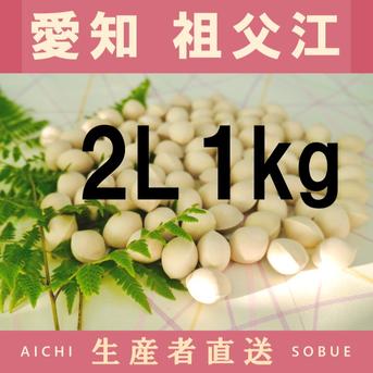 2026年新物！ 愛知県 祖父江産 久寿 銀杏 ぎんなん 2L 1kg ☆秋の味覚