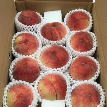 桃『訳あり品』『ご家庭用』品種おまかせ 3kg ｜ 果物/もも 産直アウル
