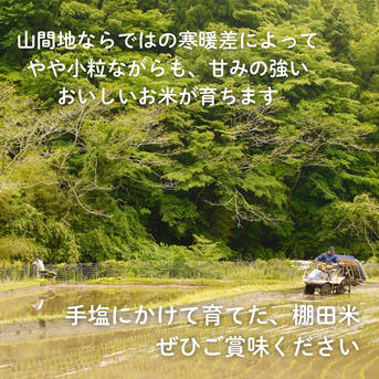 【令和７年米予約/特別栽培米】ひとめぼれ5㎏ 棚田米 5㎏ 米・穀物/米/精米通販