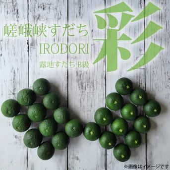 嵯峨峡すだち　〜彩〜　3kg 3kg 果物/香酸柑橘(ライム・レモン等)通販