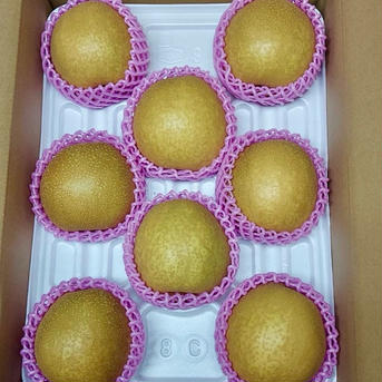 王秋梨王秋梨　5キロ 王秋梨　5キロ 果物/梨通販