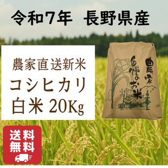 食品 【令和6年産】長野県コシヒカリ20キロ白米
