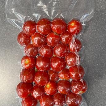 【皮むき簡単・甘み濃厚】冷凍フルティカトマト 1000g（調理用／便利な冷凍保存） 冷凍フルティカトマト 1000g 野菜/トマト通販