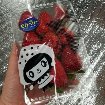 【減農薬】四箱 16パック 家庭用 いろいろなサイズ 『モカベリー』 完熟いちご 苺 果物 四箱 16パック入り 約3600g 【1パック 苺のみ約225g】 果物/いちご通販