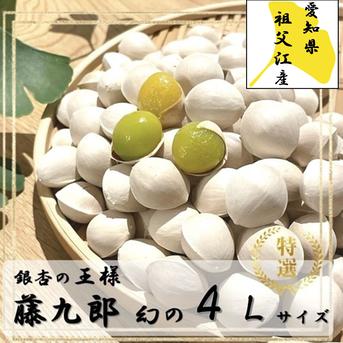 【数量限定】祖父江銀杏【藤九郎】特大大粒４Ｌサイズ ４Ｌ３００ｇ 野菜/その他野菜通販