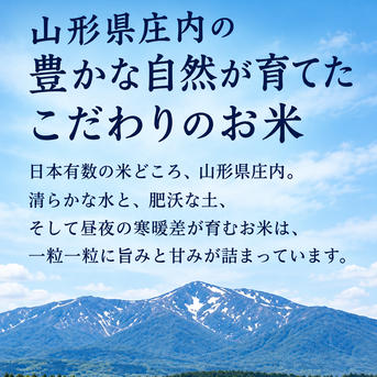 農家直送 令和8年産 つや姫 精米 10キロ (5キロ×2袋) ｜ 米・穀物/米