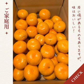上野早生 箱込み3キロMサイズ 家庭用 有田みかん 低農薬 極早生 | 果物