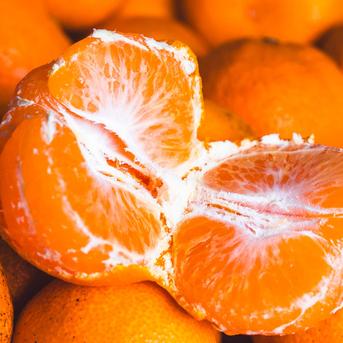 □傷あり不揃いの旨さ主義□濃厚な甘みとコクの南柑20号Bセレクション