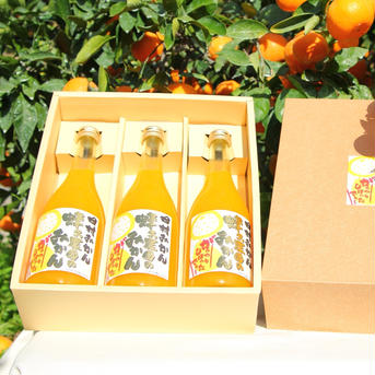 蜂久農園のみかんがっつりしぼったでぇ　720ml×3【お中元】 720ml×3本 飲料/ジュース通販