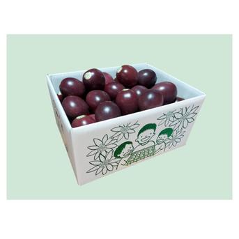 パッションフルーツ３ｋｇ パッション３ｋｇ 果物/パッションフルーツ通販