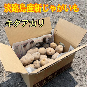 農薬不使用　自慢のじゃがいも　5kg じゃがいも5kg 野菜/じゃがいも通販