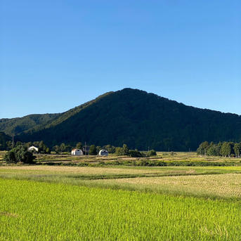 新米【令和8年産】新潟県産つきあかり 玄米20kg｜ふっくら大粒のお米