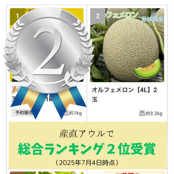オルフェメロン【B品3L】2玉 ｜ 果物/メロン 産直アウル 農家・漁師