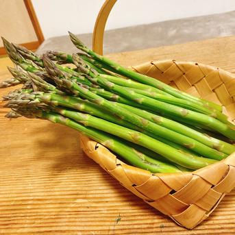 信州産　アスパラガス　Lサイズ　6kg　クール便発送 太っ！朝採り新鮮！やわらか甘い春アスパラ1000g2L~L ｜ 野菜