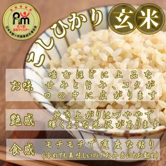 棚田米こしひかり白米5kg玄米5kg(計10kg) ｜ 米・穀物/お米セット