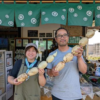 クール便 訳あり「竹」3キロ 新鮮！朝掘りレンコンのご自宅用 ｜ 野菜