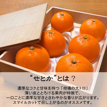 広がる香りに、ただ酔いしれる】完熟ハウスせとか《ご家庭用 5kg