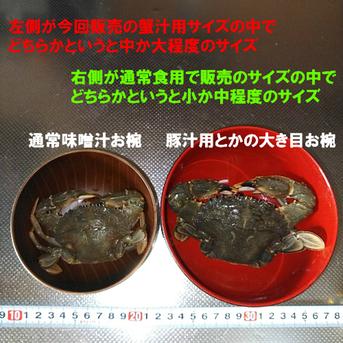 冷凍出荷！カニ汁用！石蟹小サイズ４kg イシガニ 松島牡蠣屋 漁師の店長自ら漁獲です！蟹汁 味噌汁 中華料理 フィリピン料理にも 2ｋｇが２箱発送 目安：4キロで80杯程度 冷凍蟹 冷凍カニ 冷凍カニ 出汁 スープにもOK 4ｋｇ 魚介類/カニ通販