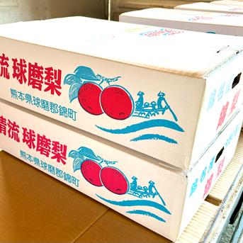 清流球磨梨・かおり 約10kg【5kg箱(5〜14個入り)を2箱重ねてお届け