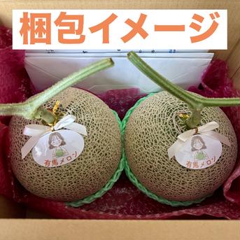 【県知事賞受賞】有馬温泉の麓産 赤肉メロン🍈 大玉5L 1玉 土づくりと甘さにこだわる農薬節約栽培🌱 御中元・夏ギフトにも🎁 兵庫県産 赤肉レノンスター《7月中旬頃〜発送🚛³₃》【旬祭限定】 大玉1玉（1.5kg前後） 果物/メロン通販