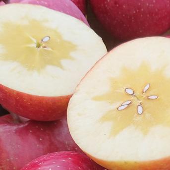 【３周年記念】🍎赤字覚悟🍎特別販売　葉とらずサンふじ3㎏とサン金星3㎏の約6㎏セット 約6㎏ 果物/りんご通販