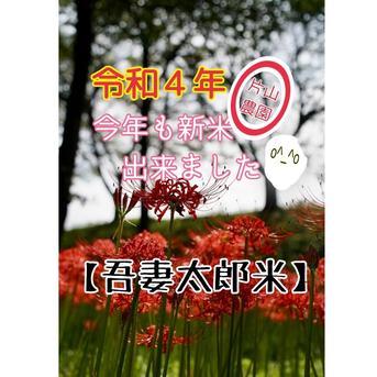 令和４年　精米５㎏　新米コシヒカリ100%　お試し 精米　5㎏ 米・穀物/米/精米通販