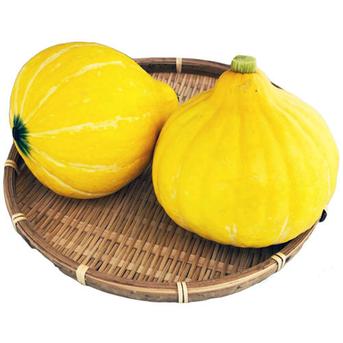 【栽培期間農薬・化学肥料不使用】食感が楽しくサラダで美味しいサラダカボチャ コリンキー2kg コリンキー2kg 野菜/かぼちゃ通販