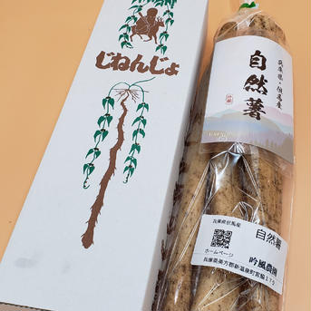 吟風農園の自然薯‼️　カット品　1kg（２～4本） 1kg（カット品） 野菜/長いも・山いも通販