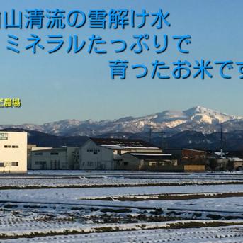 令和7年産 新米 石川県産 ゆめみづほ 玄米 15kg ｜ 米・穀物/玄米 産直